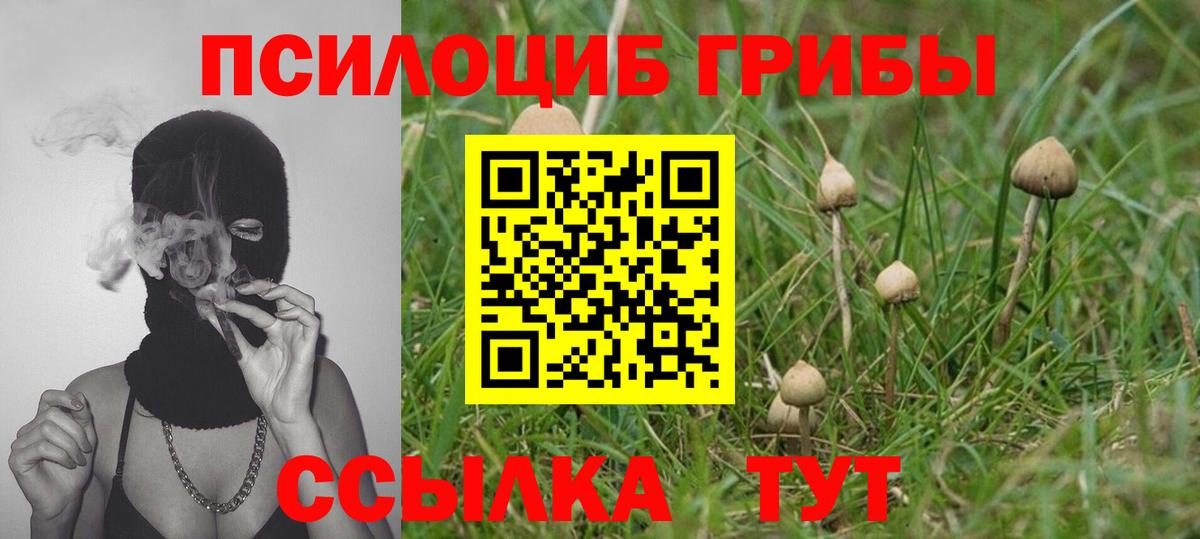 Галлюциногенные грибы ЛСД Кириши